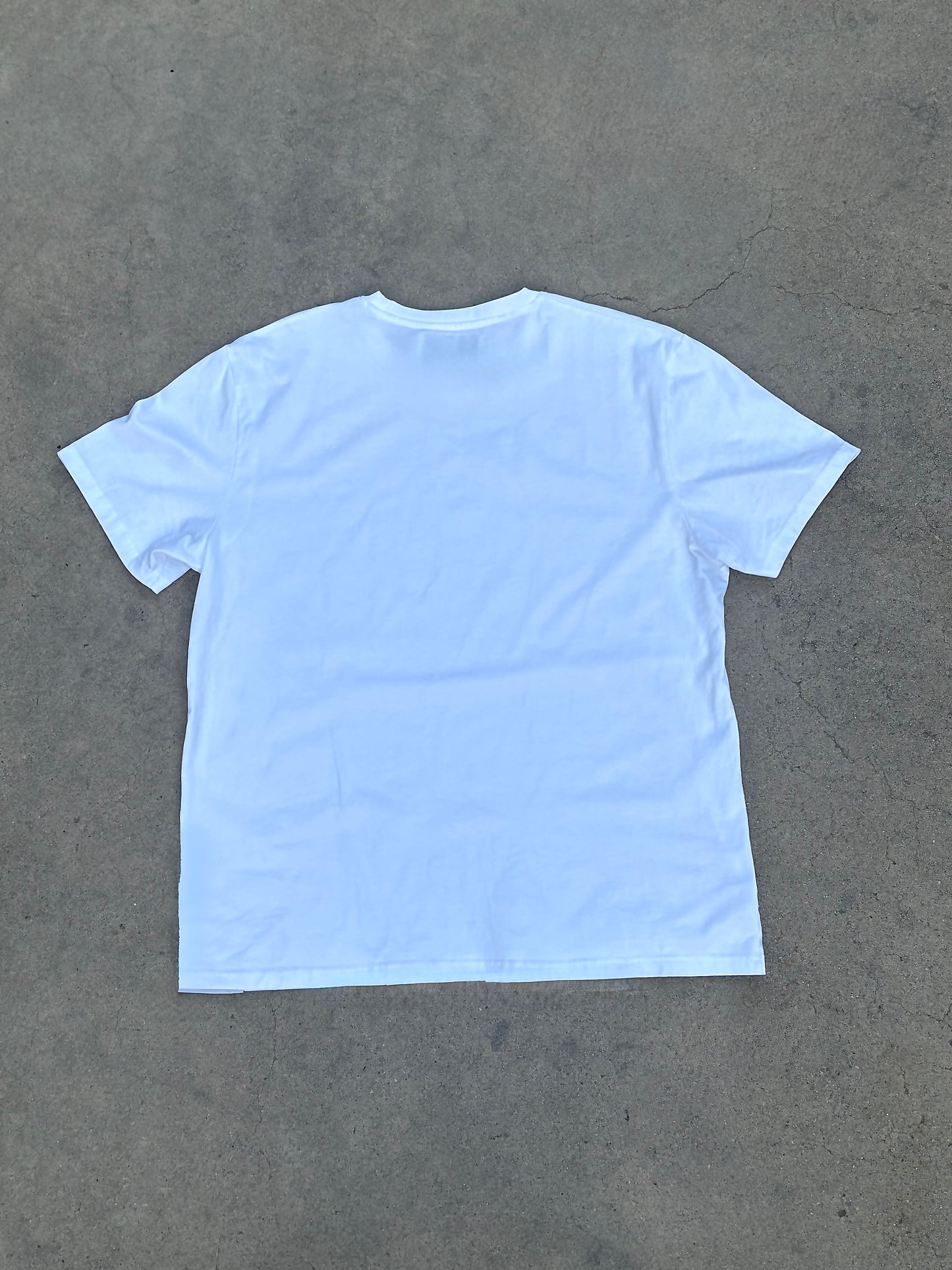 NS01 TEE