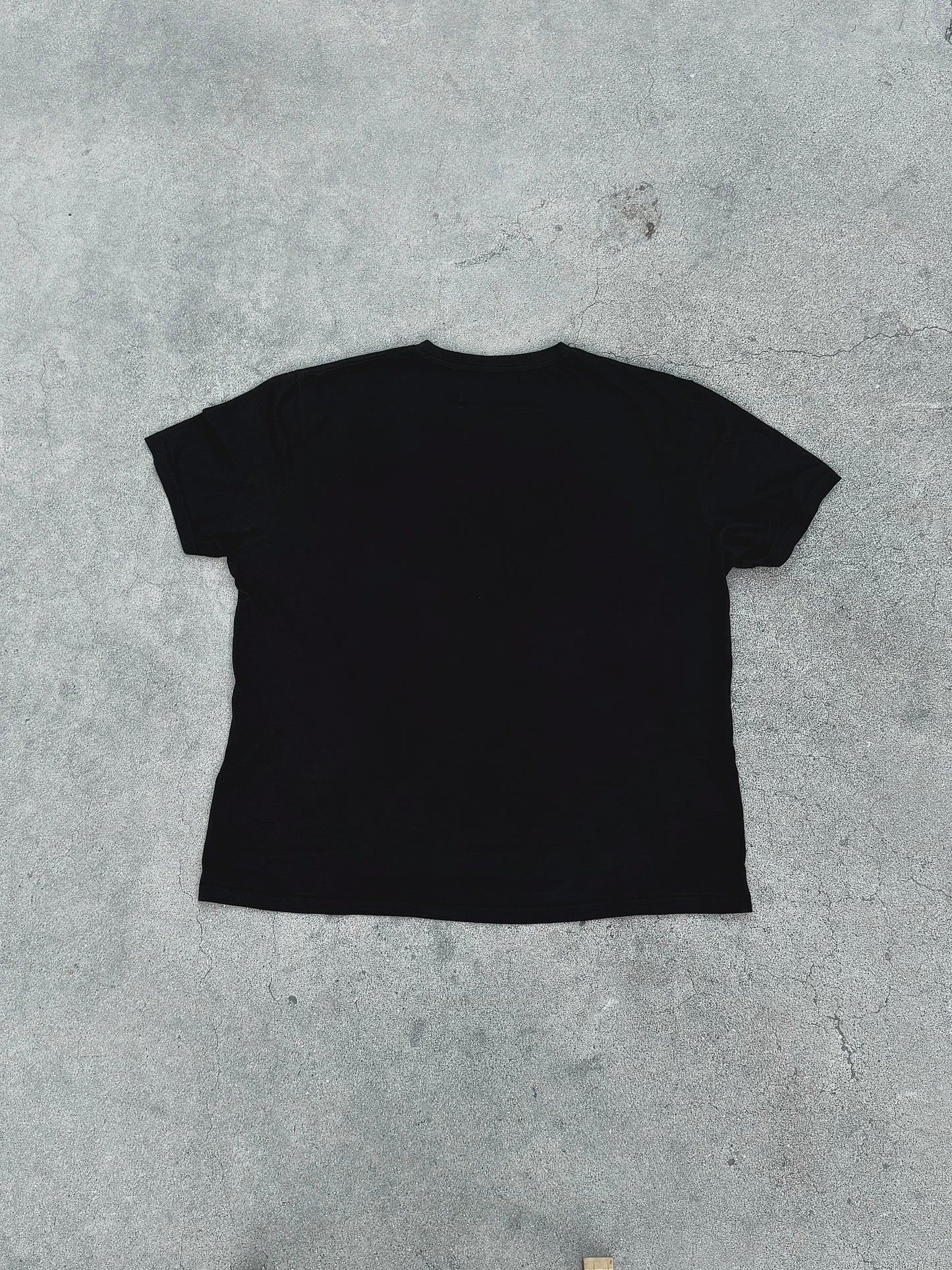 NS01 TEE